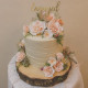 Rustic Themed Wedding/Engagement Cake 
