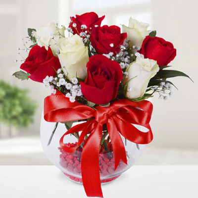 Red and White Roses in a Vase