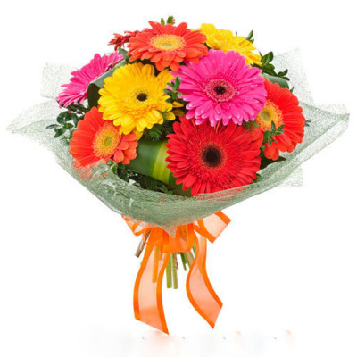 Mixed Color Gerberas Bunch with a nice Ribbon