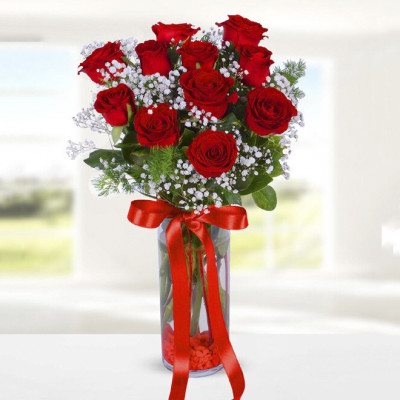 Red Roses and Gypsophila in a Vase