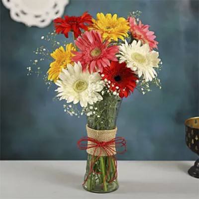  Mixed Color Gerberas in a Glass Vase