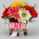  Mixed Color Gerberas in a Glass Vase