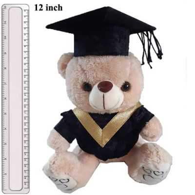 Graduation Teddy Bear - 12 Inch