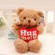 Lovely Hug Me Heart Teddy Bear Plush Toy - Birthday or Valentine Gift 