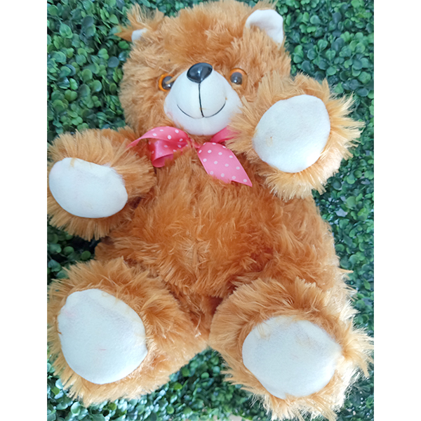 Teddy Bear Brown 12 Inch