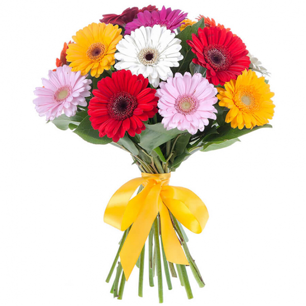 15 multi color gerberas to deliver in Sri Lanka