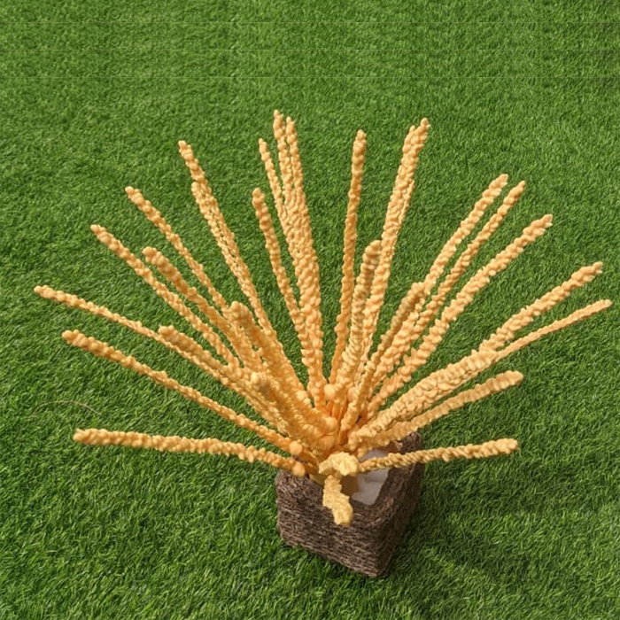 Traditionally used for auspicious occasions and decorative purposes, the coconut flower holds deep symbolic meaning.