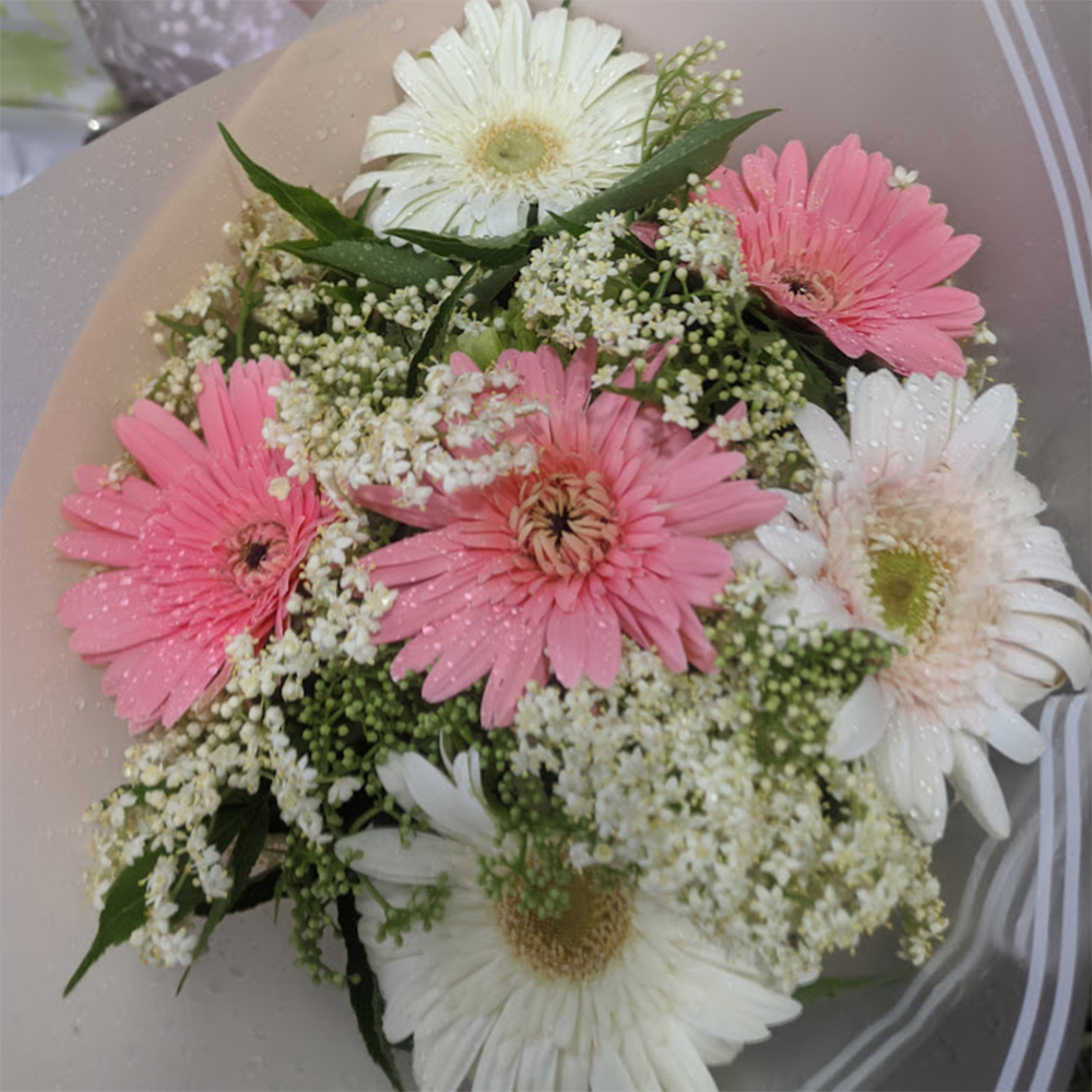 Cream signifies purity and thoughtfulness while pink conveys admiration grace and appreciation.