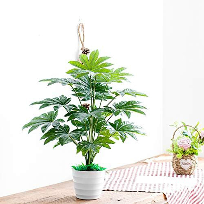 Enjoy year-round greenery without the need for watering or sunlight